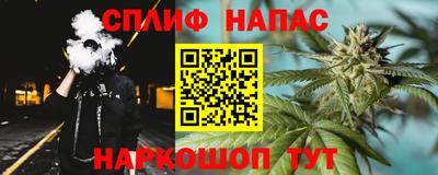 тгк Будённовск