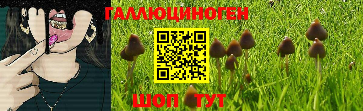 Галлюциногенные грибы мухоморы Старая Русса