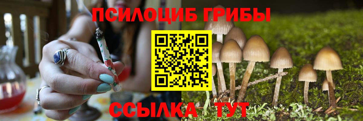 Галлюциногенные грибы Cubensis  Вход с VPN  Галлюциногенные грибы мицелий  Старая Русса 
